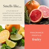 image:imagePartyLite Set of 12 Tea Lights Candles Grapefruit amp Rosemary Scent Aromatherapy Scented Candles Gift Set Up to 4 to 6 Hours Burn Time