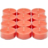 image:imagePartyLite Set of 12 Tea Lights Candles Grapefruit amp Rosemary Scent Aromatherapy Scented Candles Gift Set Up to 4 to 6 Hours Burn Time