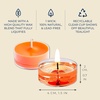 image:imagePartyLite Set of 12 Tea Lights Candles Shredded Coconut amp Papaya Scent Aromatherapy Scented Candles Gift Set Up to 4 to 6 Hours Burn Time