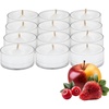 image:imagePartyLite Gift Set of 12 Universal Tea Lights Iced Snowberries Scented Notes of AppleCranberry Peach Strawberry Berry Vanilla amp Musk 46 Hour Burn Time Luxurious amp Rich Perfect for Gifting