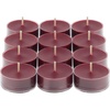 image:imagePartyLite Set of 12 Tea Lights Candles Deep Blue Grapes and Dark Red Berries Scent Aromatherapy Scented Candles Gift Set Up to 4 to 6 Hours Burn Time