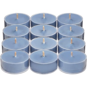 image:imagePartyLite Set of 12 Tea Lights Candles Midnight Cactus Scent Aromatherapy Scented Candles Gift Set Up to 4 to 6 Hours Burn Time